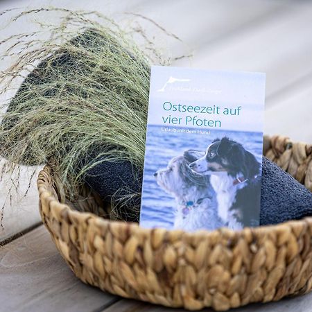 Solvis Villa Zingst Buitenkant foto